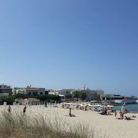 L'olivo * Ceglie Messapica