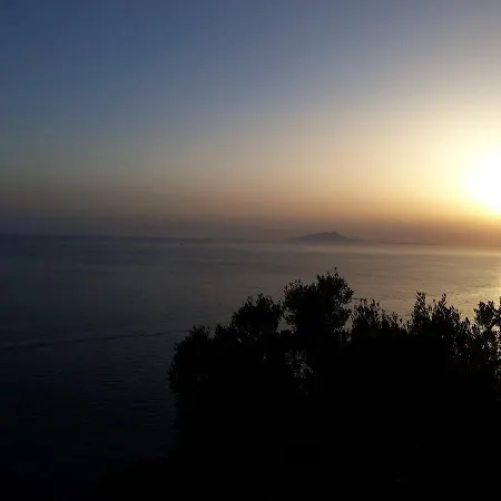L'olivo Ceglie Messapica
